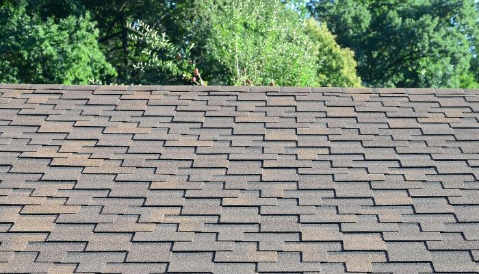 A shingled roof set against a backdrop of trees, representing the condition assessment for roof repair or replacement in Connecticut.