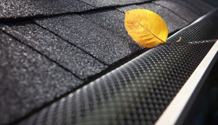 A single leaf resting on the edge of a roof gutter, symbolizing maintenance issues in roof repair versus replacement.