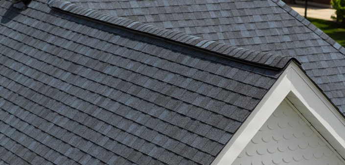 Black shingle roof highlighting sleek contrast and modern appearance.